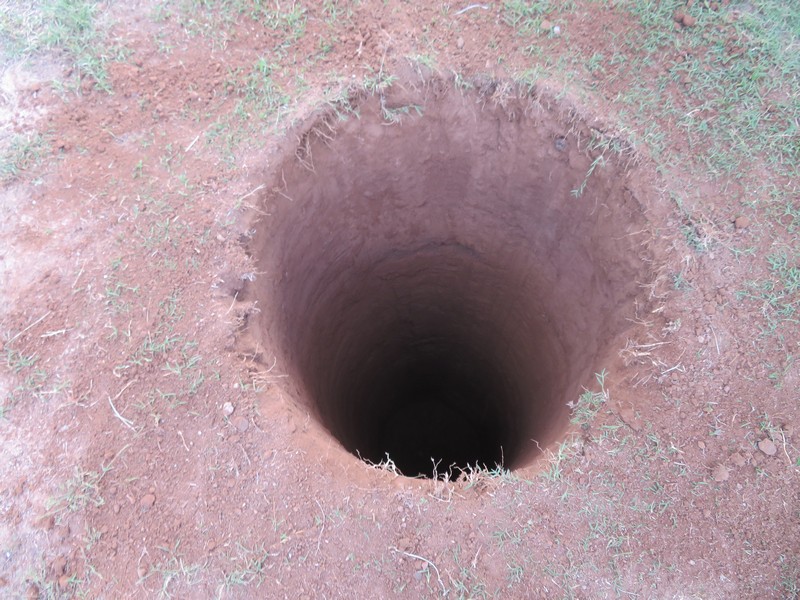 Pole